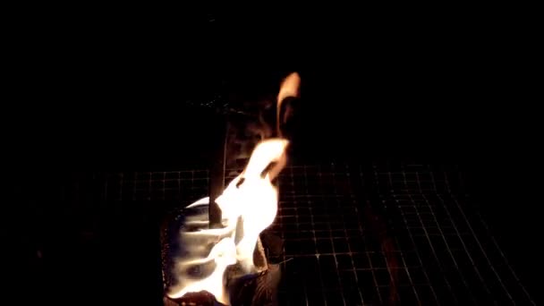 Un petit feu de joie brûle dans le noir — Video