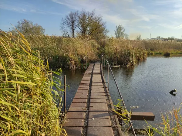 Brücke Über Den Kleinen Teich Mit Schilf — Stockfoto