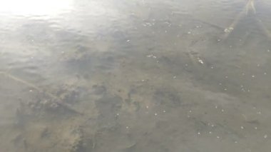 Çamurlu bir zeminden su akar, suya ışık yansıtır, video...