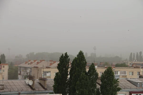 Sandstorm Och Stark Vind Över Stad Ryssland — Stockfoto