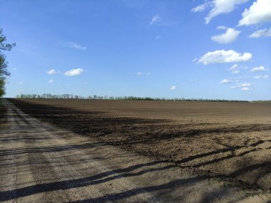 Bir ağaç gölgesi ile tarlaya sürülmüş.