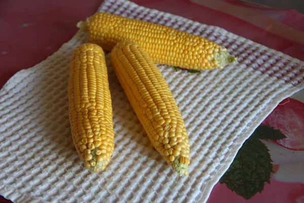 Кусочки Свежей Молодой Кукурузы — стоковое фото