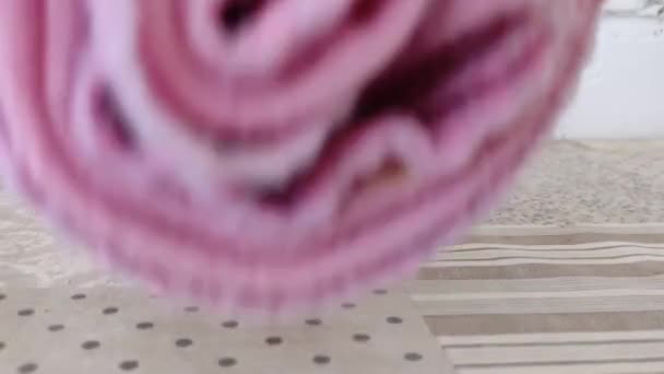 Hamster Sírio Jogar Cobertor — Vídeo de Stock