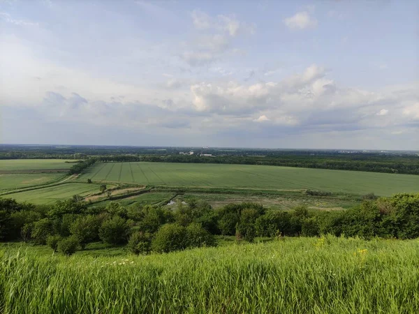 Manzara - vadi, tarlalar, orman ve gökyüzü bulutlarda