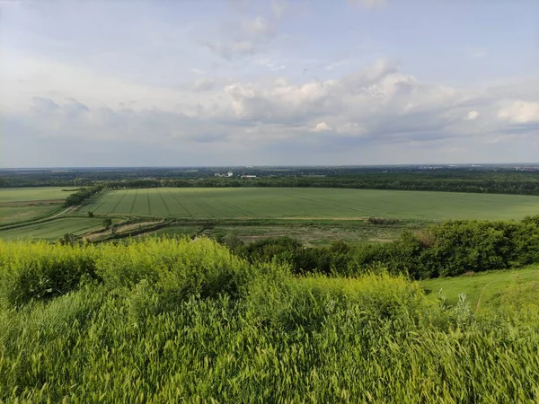 Manzara - vadi, tarlalar, orman ve gökyüzü bulutlarda