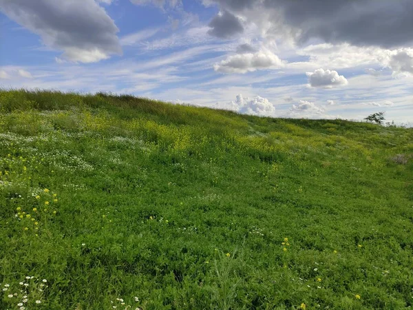 Güzel bir dağ çayırı ve gökyüzündeki bulutlar