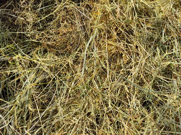 干草の背景と食感 — ストック写真