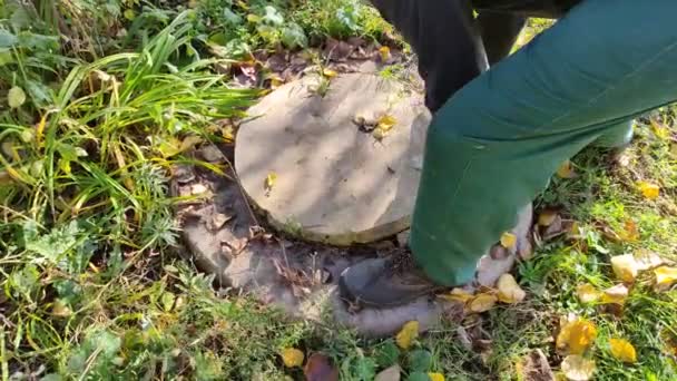 Homem Abre Uma Escotilha Fossa Séptica Quintal Vídeo — Vídeo de Stock