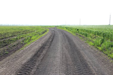 Elektrik hatlarının arka planına ve makine izlerine karşı tarımsal alanlardan geçen toprak yol