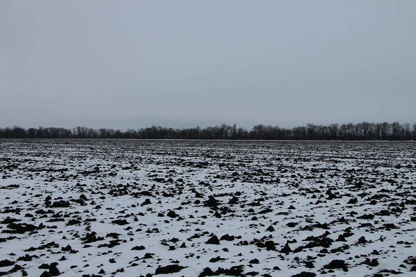 Champ Agricole Couvert Neige Par Mauvais Temps — Photo