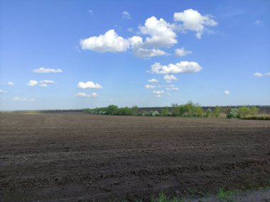 Bir bulutun gölgesinde tarla sürdüm.