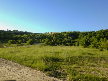 Ağaçların arasındaki büyük metal boru.