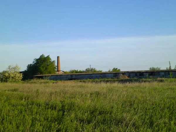 Verlassene Fabrik Mit Einem Rohr Gras — Stockfoto