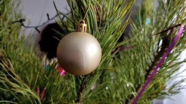 Noel ağacında Noel süslemeleri