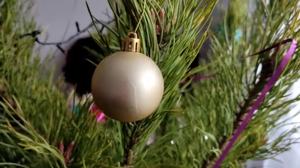 Decoraciones de Navidad en el árbol de Navidad — Vídeo de stock