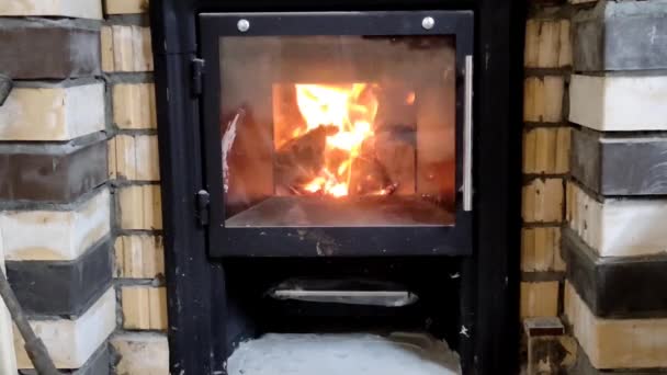 Queimaduras de lenha no forno com uma porta de vidro, vídeo — Vídeo de Stock