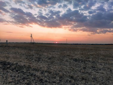 Tarlaları ve elektrik direkleriyle gün batımı