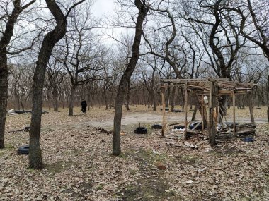 Ormanda dinlenmek için kendi kendini yetiştirmiş bir çardak.
