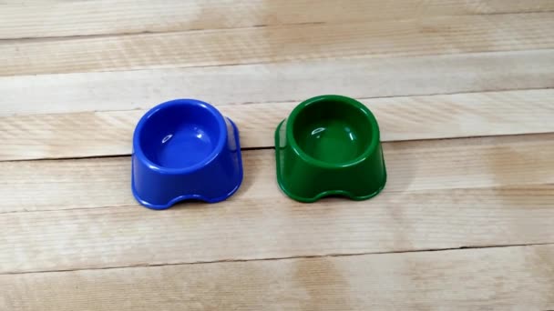 Зеленый и синий пластиковые кормушки миска для домашних животных на деревянном фоне — стоковое видео