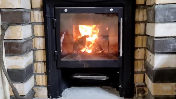 Una Pequeña Chimenea Con Una Puerta Cristal Quema — Vídeo de stock