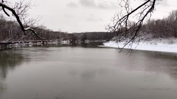 Rio Flui Através Floresta Inverno Neve Cai Rússia Região Krasnodar — Vídeo de Stock