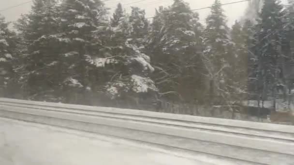 Вид из окна поезда на проходящий зимний пейзаж — стоковое видео