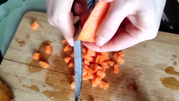 Woman cutting carrots over cutting board, 4K video — Stock Video