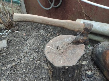 Balta ve bir kuşun kesildiği bir kütük. Kuş katliamı