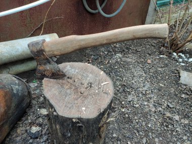 Balta ve bir kuşun kesildiği bir kütük. Kuş katliamı