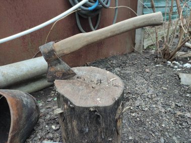 Balta ve bir kuşun kesildiği bir kütük. Kuş katliamı