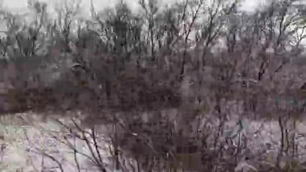 Winter uitzicht vanuit het treinraam, een passerende winter landschap video — Stockvideo
