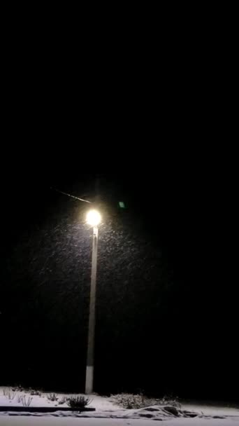 La neve cade sullo sfondo di una lanterna di notte, effetto di sfocatura, rallentamento — Video Stock