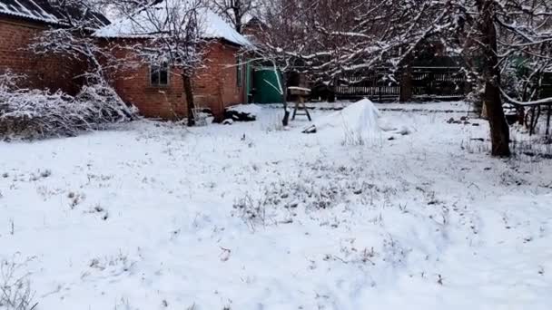 Двор Русского Частного Дома Покрытого Снегом — стоковое видео