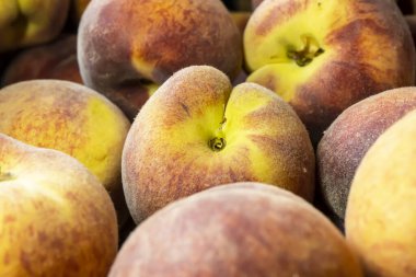 Taze şeftaliler işlenmeye hazır..