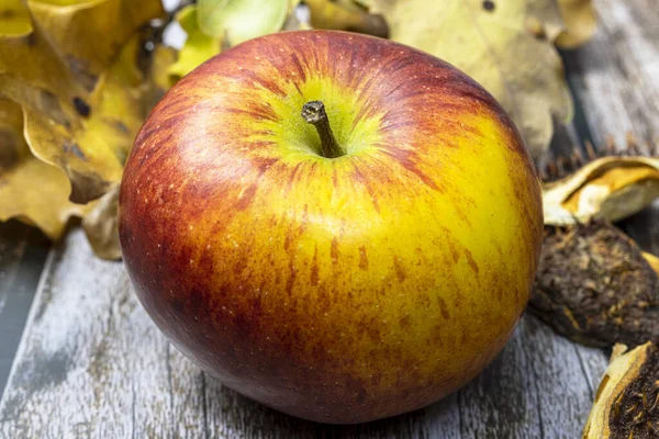 Свіже Яблуко Дерев Яному Столі Восени — стокове фото