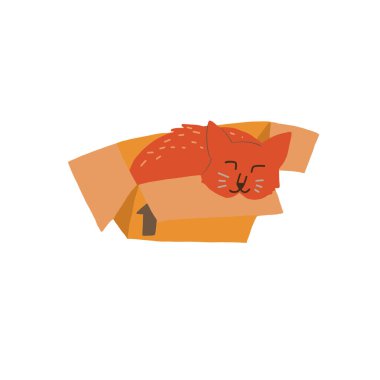 Sosyal medyada uyuyan şirin hygge kedisi.