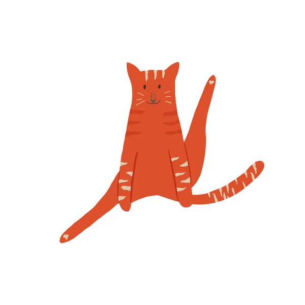 Kedi bacağı açık oturuyor.