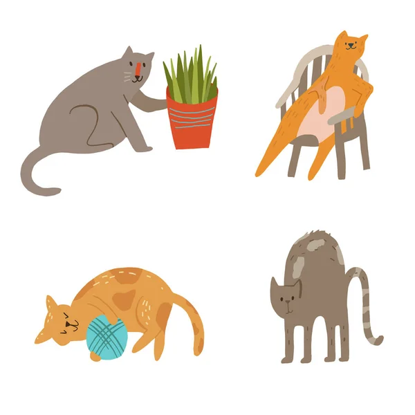 Bir grup kedi bitkileri deviriyor, oturuyor, iplik topu oynuyor, geri çekiliyor..