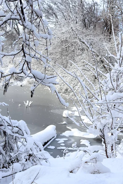 雪に覆われた美しい公園と凍る池 ストック写真