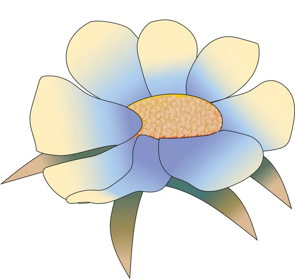 Head Yellow Blue Flower Close White Background — Stockvector