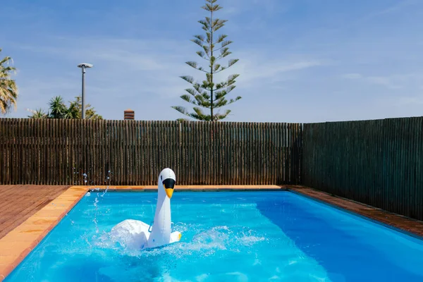 Splashing water with inflatable swan in a private pool in a house backyard. Summer, recreation, holidays, vacation concept.