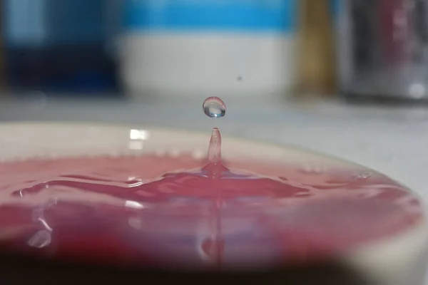 Su damlaları makro damlalar