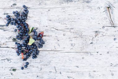 Eski ahşap bir yüzeyin arka planında boğuk dut parçaları, üst manzara, kopyalama alanı. Sonbahar vintage arkaplanı