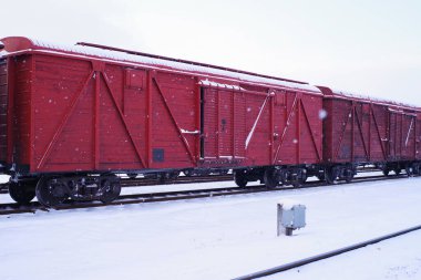 Kışın tren istasyonunda yük vagonları dolusu ahşap yük treni.