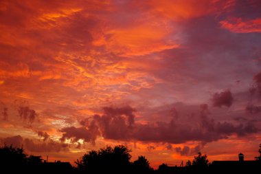 Güneş doğmadan önce kırmızı ve turuncu bulutlu gökyüzü kırsal çatı ve ağaçların siyah silolarına karşı. Dawn Sky ile Ağustos Manzarası