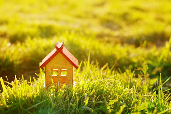 Невеликий Дерев Яний Іграшковий Будинок Фоні Зеленої Трави Сонячному Світлі — стокове фото