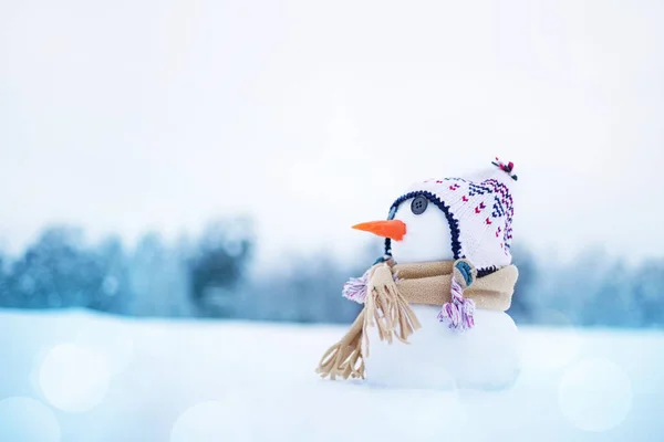 Kis Aranyos Hóember Répaorral Kötött Kalapban Sállal Hóban Egy Téli — Stock Fotó