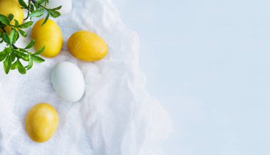Yellow and white Easter eggs on a white napkin, decorated with green willow branches on a light blue background, soft selective focus, top view, copy space. Festive background with Easter symbols