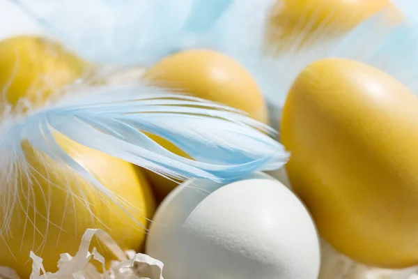 Yellow White Easter Eggs Nest Decorated Blue Feathers Close Soft — 图库照片