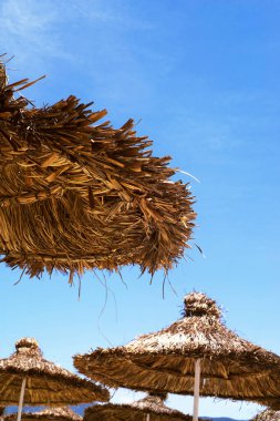 Beach bamboo umbrellas against the background of the blue sky